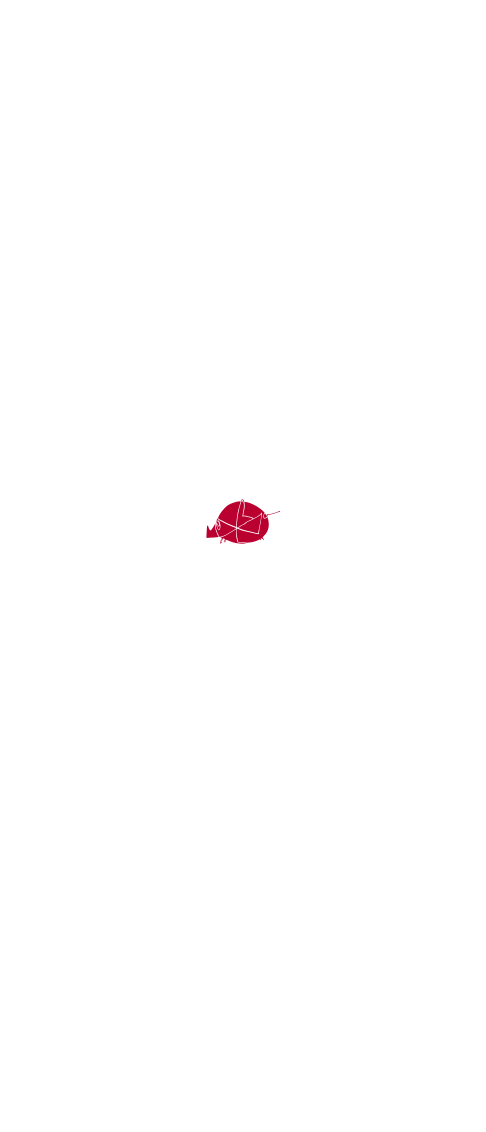 かつ好肉を見る、粉を見る、油を見る。塩、醤油、味噌。一つ一つ生かしきりたいから素の力、持ち味に吟味をつくす。火と熱と。その音と色と。凛とした姿勢から一瞬を捉え私と貴方のとんかつがうまれます。